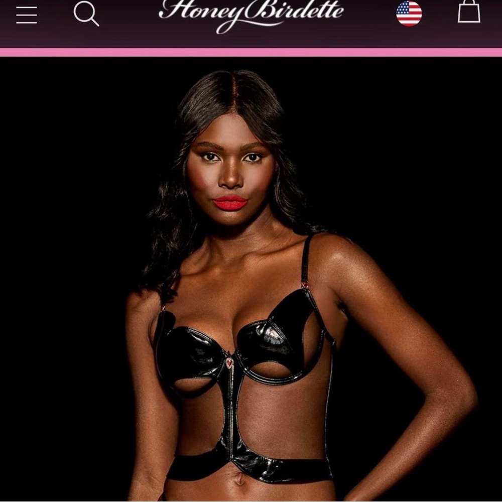 Honey Birdette new with tags Ella black bustier.